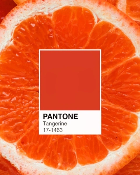 Как менялся цвет года Pantone последние 10 лет