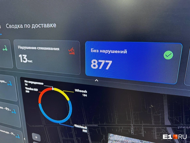 Подавляющее количество самокатчиков оказались нарушителями | Источник: Роман Марьяненко / E1.RU