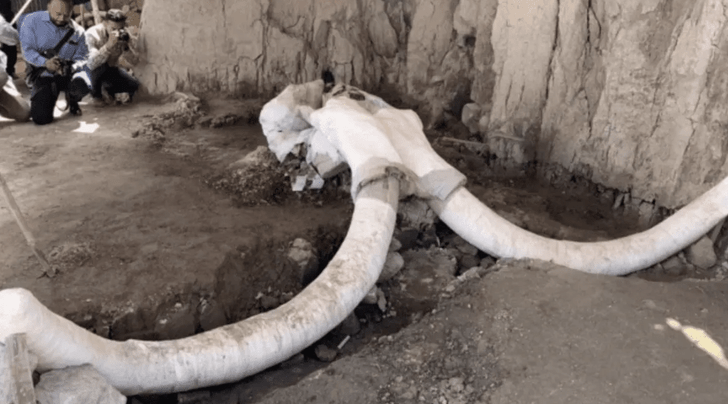 В Мексике обнаружена ловушка на мамонта