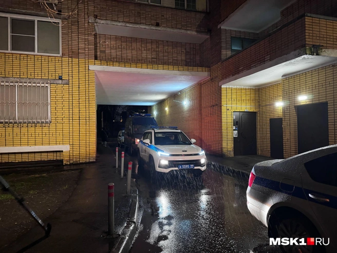 Источник: Дмитрий Толстошеев / MSK1.RU