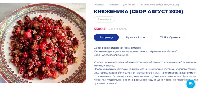 В Москве княженика продается по 5500 рублей за 100 грамм | Источник: azbuka-severa.ru