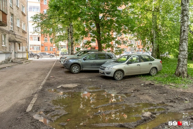 С сентября земли без травы, но огороженные бордюром, будут считаться газоном | Источник: Василина Любимова / 59.RU