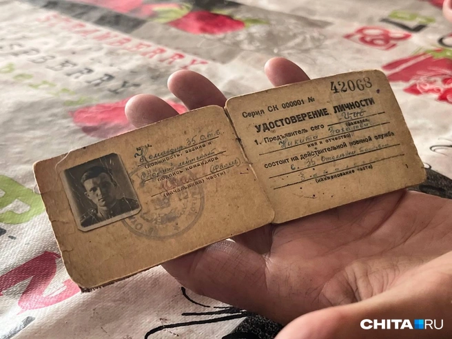 Источник: Александр Хамраев / CHITA.RU