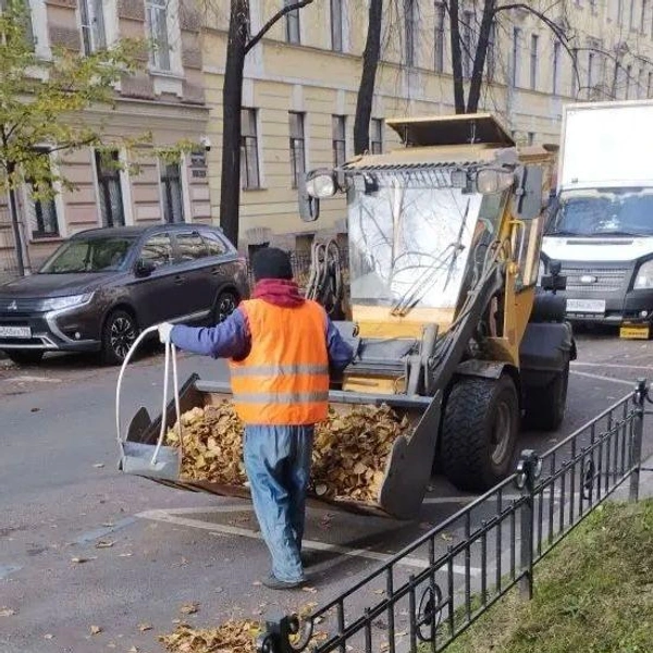 Источник: Комитет по благоустройству Петербурга