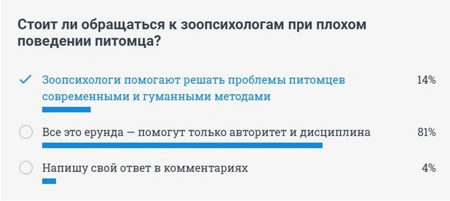 Большинство новосибирцев считают, что при воспитании собаки поможет авторитет и дисциплина | Источник: NGS.RU