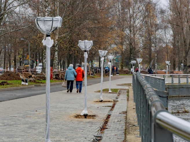 В парке смонтировали новые осветительные приборы | Источник: Кирилл Поверинов / 76.RU