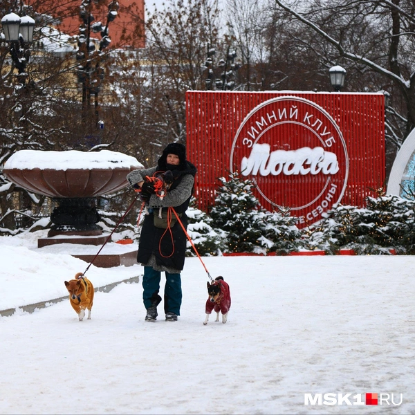 Прохожих на улице не очень много | Источник: Татьяна Спиридонова / MSK1.RU