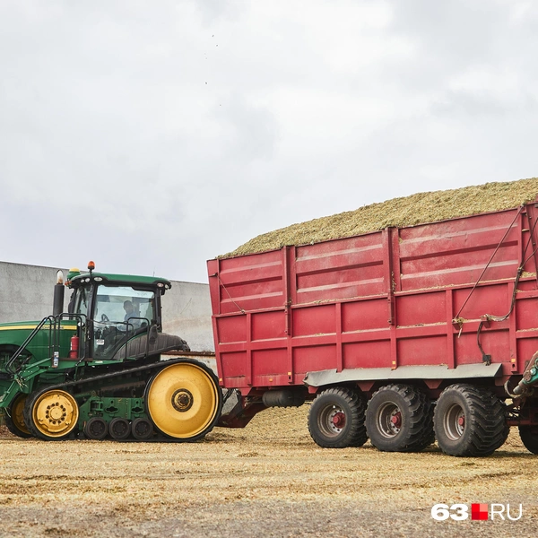 Источник: Роман Данилкин / 63.RU