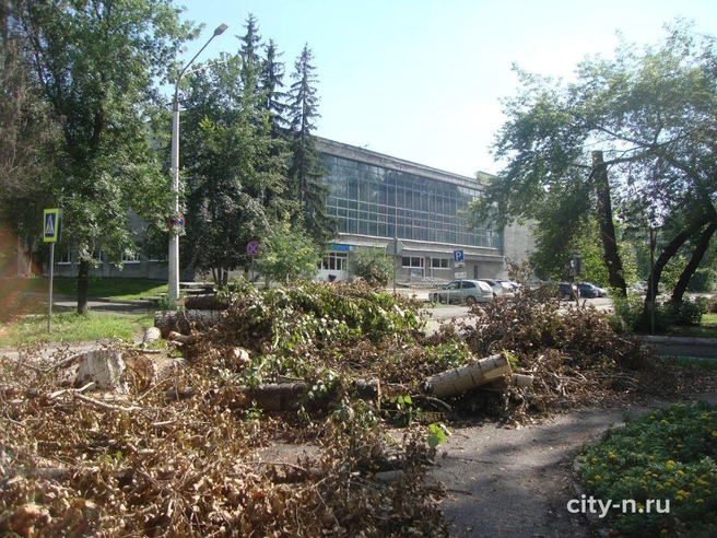 Источник: city-n.ru
