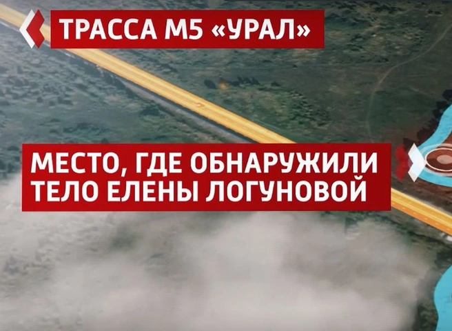 Опубликованы кадры с места обнаружения останков Елены Логуновой | ya62.ru