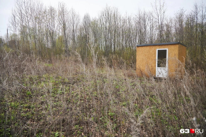 За пару лет на земельном участке появилась поросль | Источник: Роман Данилкин / 63.RU
