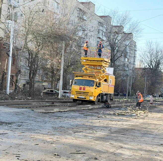 Источник: Светлана Камбулова / Telegram.org