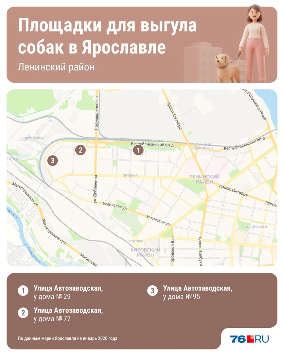 В Ленинском районе три площадки для выгула собак  | Источник: Юрий Скулыбердин / Городские медиа