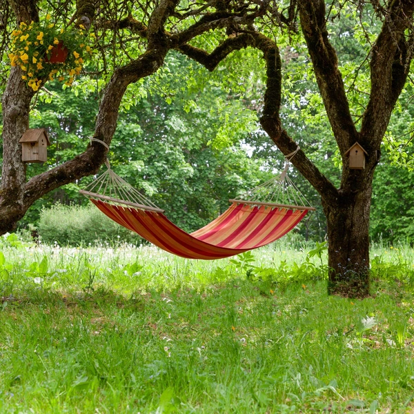 Источник: Shutterstock/Fotodom.ru
