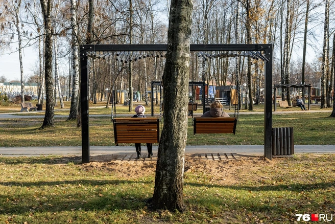 Новинка вдоль аллей — лавочки-качели | Источник: Александр Куренной / 76.RU