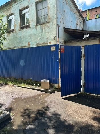 Коробку с котятами оставили прямо у калитки приюта | Источник: Валентина Дубовцева