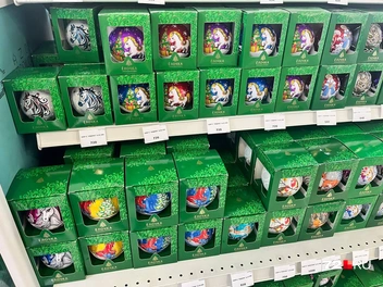 Источник: Анатолий Кузнецов / 72.RU