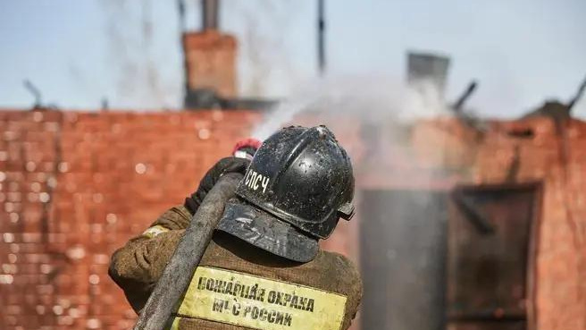 Почти 30 животных заживо сгорели в пожаре в Томской области 