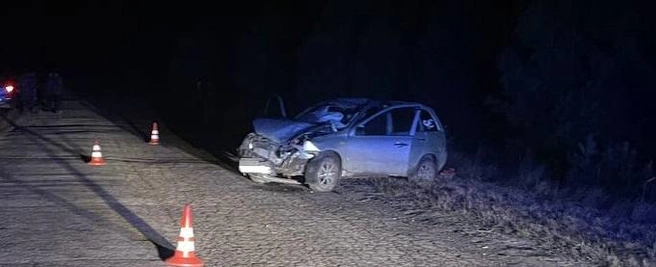 Подозреваемый уже задержан | Источник: УМВД по Рязанской области