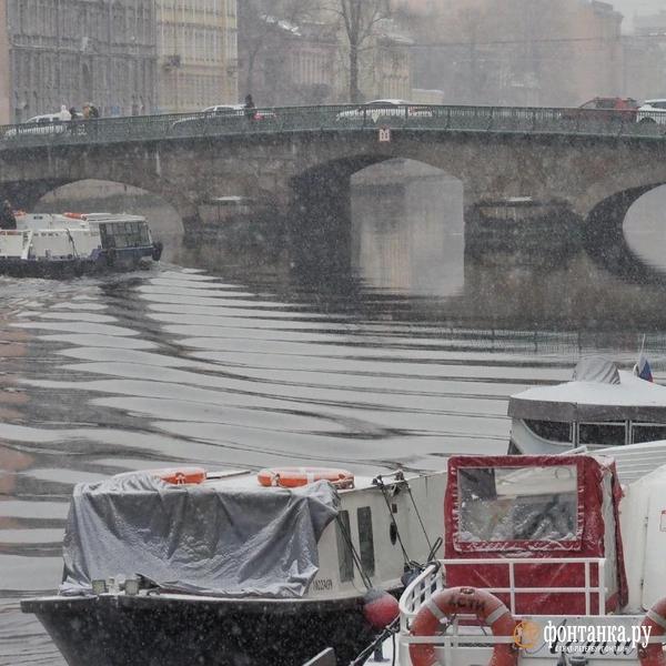 Источник: Михаил Огнев / «Фонтанка.ру»