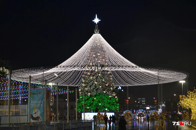 Высота елки&nbsp;— свыше 30 метров. Это примерно одна десятиэтажка! | Источник: Максим Улитов / 71.RU