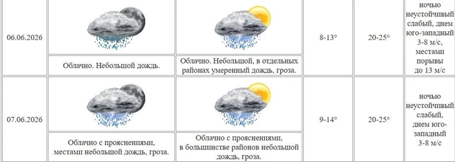 Источник: скрин с сайта Курганского ЦГМС