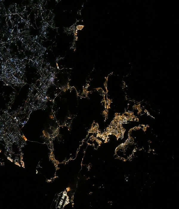 Источник: @astro_Pettit в X