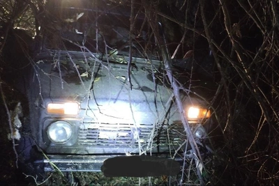 Убийство лосей в Самарской области: найдена брошенная Нива