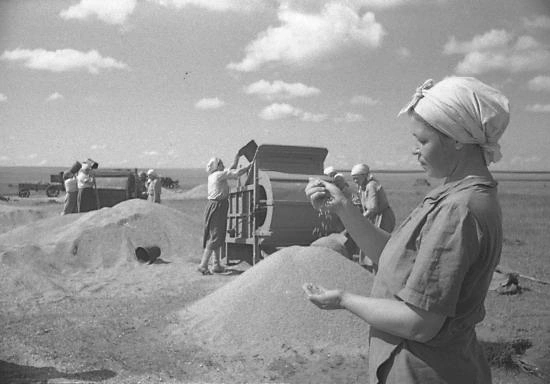 Звено Варвары Шулниной (колхоз имени Кирова Алексеевского района Куйбышевской области) за очисткой пшеницы. 14 августа 1945 года | Источник: из фотофондов ЦГАСО и СОГАСПИ