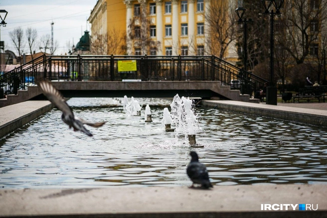 Блогер поделилась идеями для летней прогулки с ребёнком в Иркутске | Источник: Ксения Филимонова / «ИрСити»