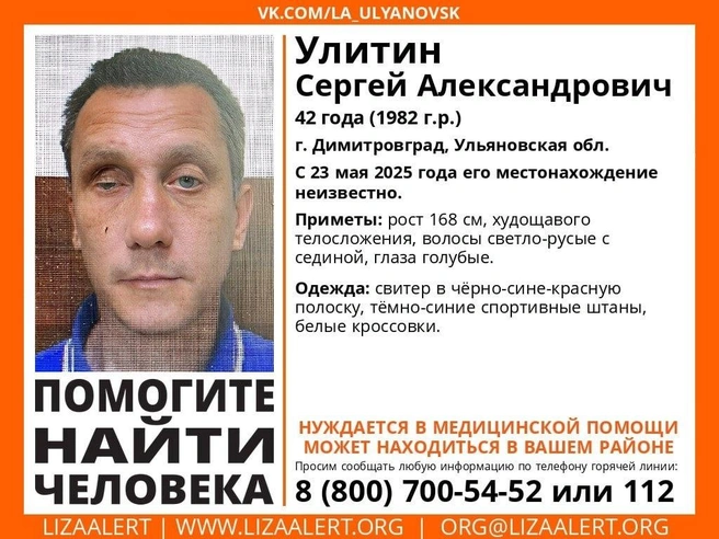 Волонтеры просят помочь в поисках | Источник: vk.com/la_ulyanovsk