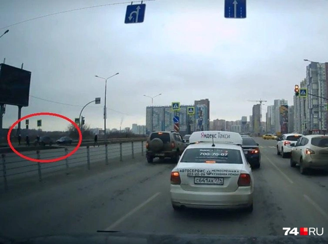 Девушка бежала через дорогу с собакой на поводке. Автомобилист пропустил других пешеходов, а на ее появление не успел среагировать | Источник: читатель 74.RU