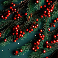 Аватарка Совушка