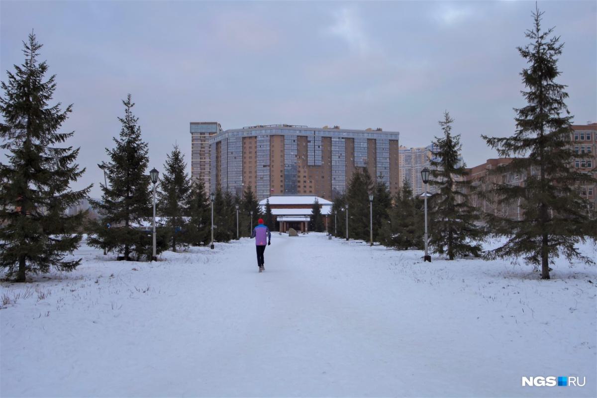 Что планируют построить перед «Сибирь-Хоккайдо» в Новосибирске. Мэрия  изымет участок площадью 2,8 га под сквер - 17 января 2022 - НГС.ру