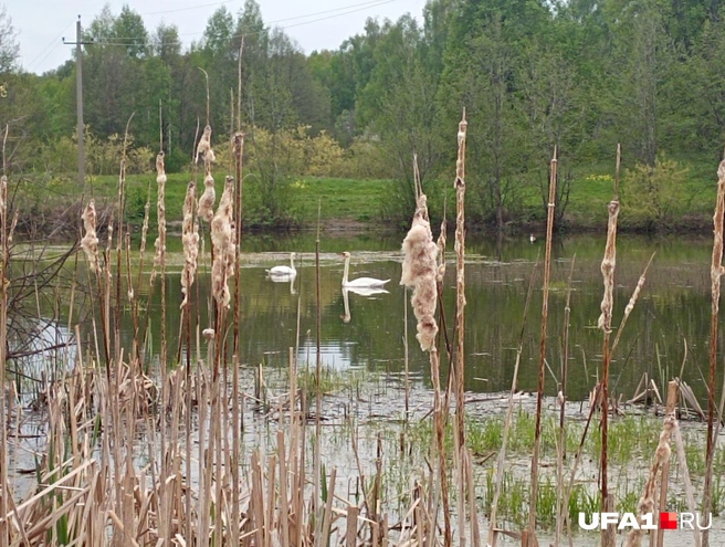 Не Соль-Илецком единым! | Источник: Марина Каримова / UFA1.RU