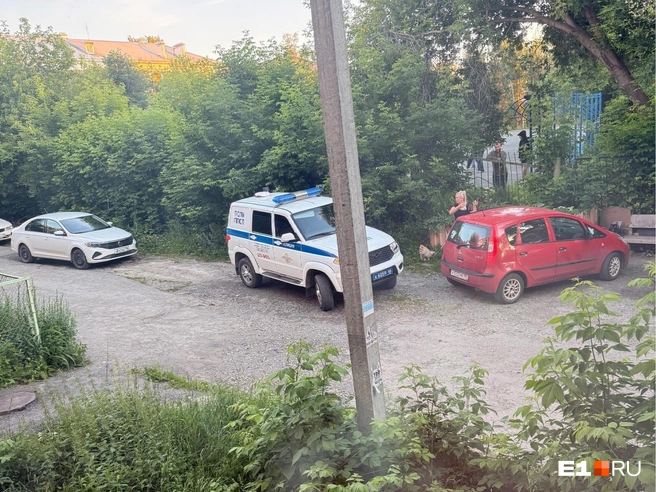 На место ЧП приехала полиция | Источник: читательница E1.RU