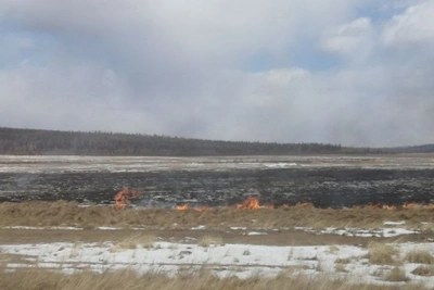 В Чите задержали виновников степных пожаров