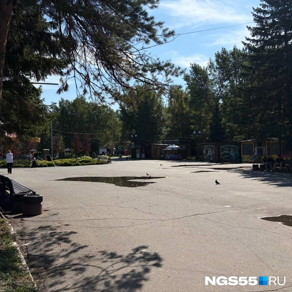 В тени расположились павильоны | Источник: Анна Иванина / NGS55.RU