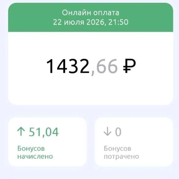 Источник: Дарья Елисейчева / 116.RU