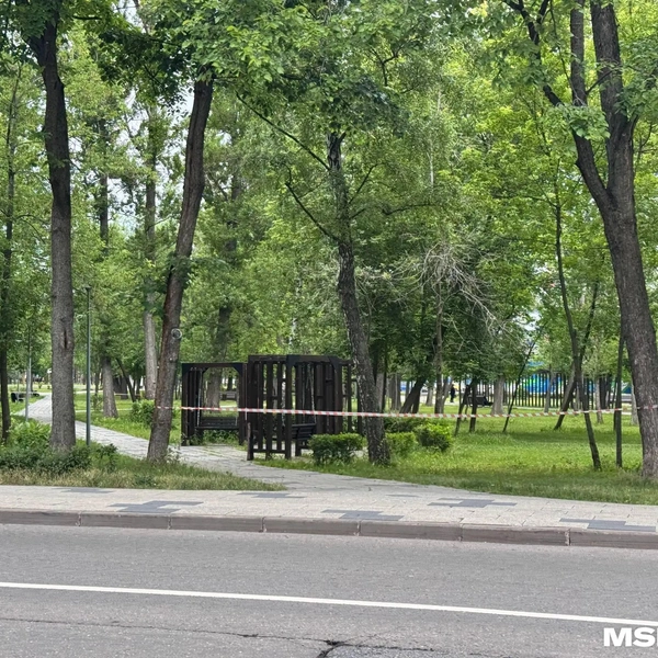 Источник: MSK1