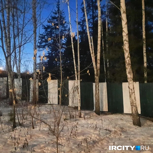 Источник: Виктор Лучкин / «ИрСити»