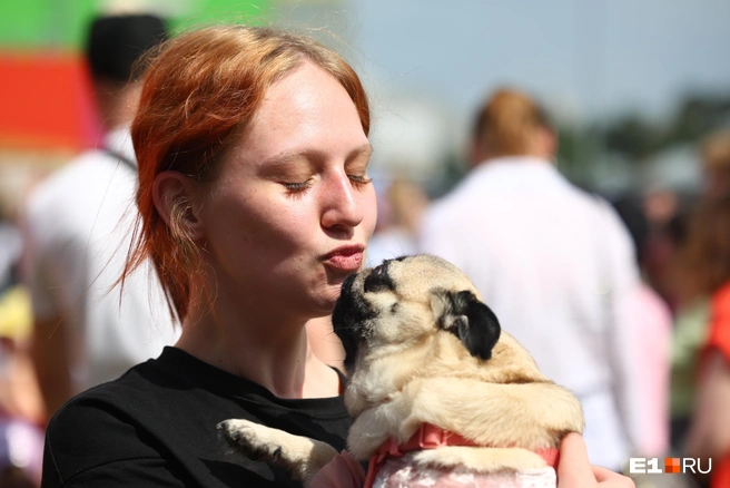 В Екатеринбурге прошел конкурс красоты для собак. Но как выбирать из идеальных претендентов? | Источник: Владислав Лоншаков / E1.RU