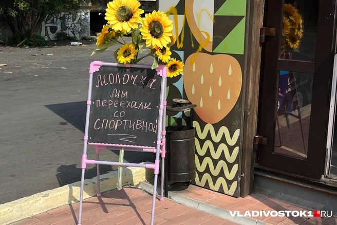 Источник: Елена Буйвол / VLADIVOSTOK1.RU