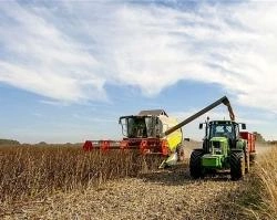 В Красноярском крае собрали первый миллион тонн зерна | ngs24.ru