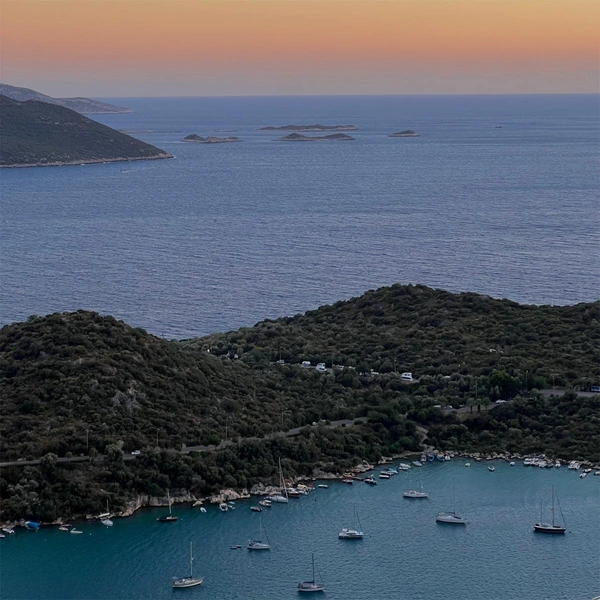 Источник: Елизавета Пенкина