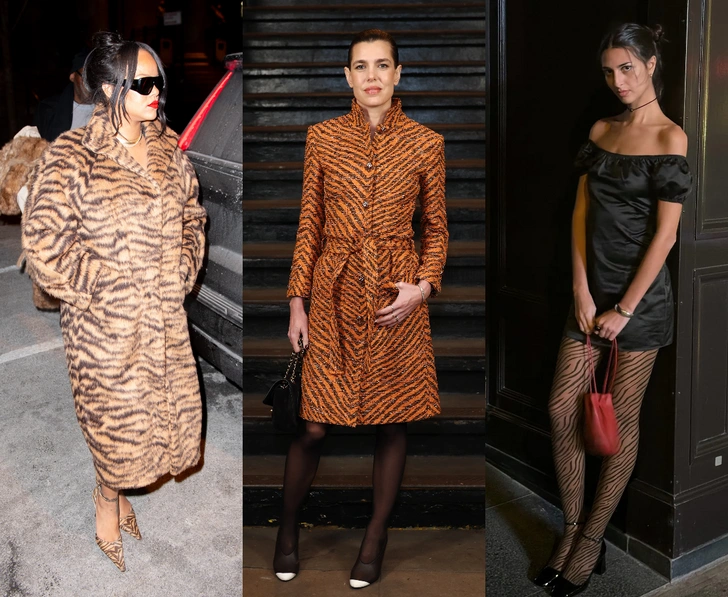 &laquo;Тигр&raquo; сместит &laquo;леопарда&raquo; в 2026 году