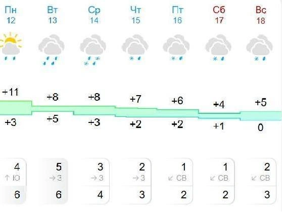 Gismeteo обещает более теплую погоду во второй половине недели | Источник: Gismeteo