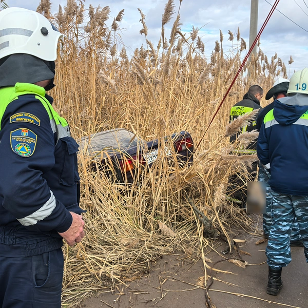 Источник: «Волгоград Красноармейский» / Telegram