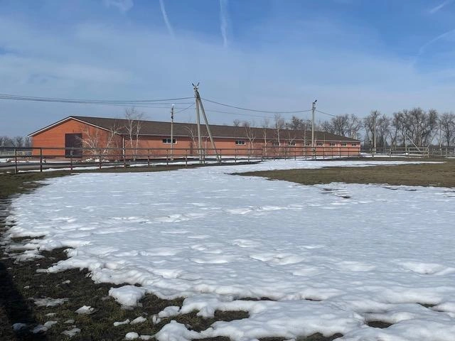 Новое здание конюшни построено для разведения лошадей породы английская чистокровная | Источник: пресс-служба компании «Сады Придонья»