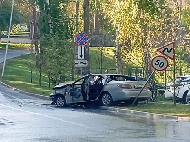 Lexus также повредил знак | Источник: Читательница НГС